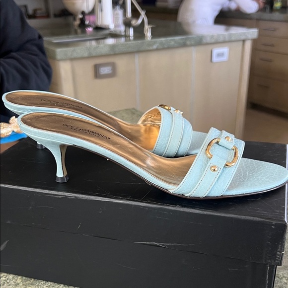 Dolce & Gabbana Sky Blue Heeled Mules - Picture 3 of 6
